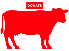 Donate Cow Full